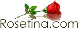 Welcome to Rosetina.com